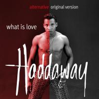 Artwork for What Is Love (Alternative Original Version) by Haddaway