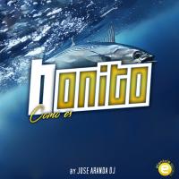 Artwork for Bonito como es by Jose Aranda
