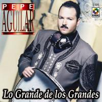 Artwork for Lo Grande De Los Grandes by Pepe Aguilar