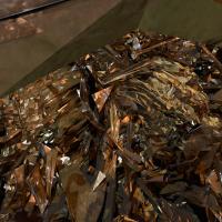 Artwork for Reflect by Giles Appleton