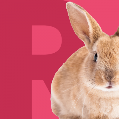 Artwork for Bad Bunny Radio