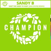 Artwork for Ain't No Need To Hide (Sam Divine Remix) by Sandy B