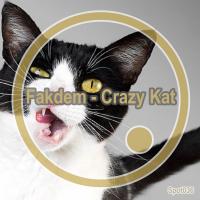 Artwork for Crazy Kat by Fakdem