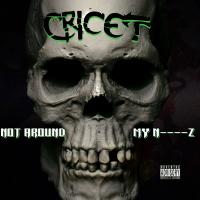 Artwork for Not Around My Niggaz by Cricet