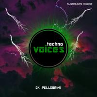 Artwork for Techno Voices by Ck Pellegrini