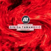 Artwork for Passion by Sinisa Tamamovic