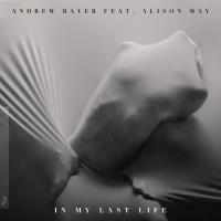 Artwork for In My Last Life by Andrew Bayer