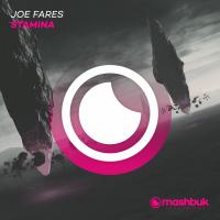 Artwork for Stamina by Joe Fares