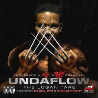 Artwork for The Logan Tape by Undaflow