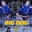 Artwork for Big Dog