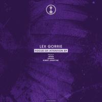 Artwork for Focus of Attention EP by Lex Gorrie