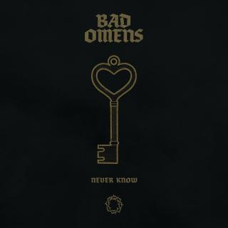 Artwork for Never Know