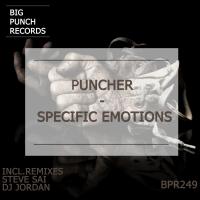 Artwork for Specific Emotions by Puncher