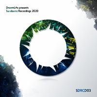 Artwork for DreamLife Presents Sundance Recordings 2020 by Various Artists