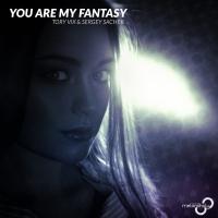 Artwork for You Are My Fantasy by Tory Vix