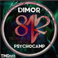 Artwork for Psychocamp! by Dimor