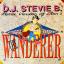 Artwork for The Wanderer (DJ Stevie B. Main Mix)
