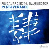 Artwork for Perseverance by Fisical Project