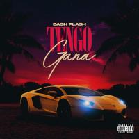 Artwork for Tengo Gana by Dash Flash