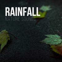 Artwork for Rainfall by Nature Sounds