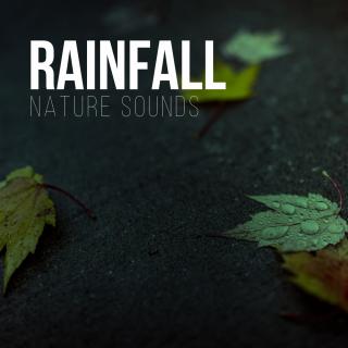Artwork for Cosy Rain Sounds With Thunder (Original Mix)
