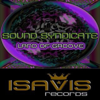 Artwork for Land Of Groove (Original Mix)