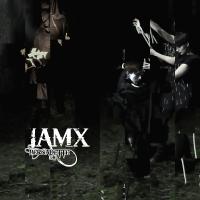 Artwork for Bernadette (Remixes) by IAMX