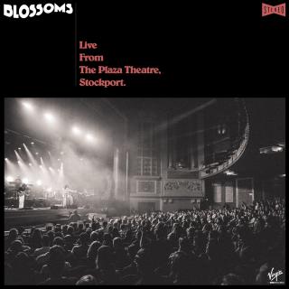 Artwork for Falling For Someone (Live From The Plaza Theatre, Stockport)