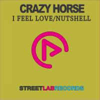 Artwork for I Feel Love by Crazy Horse