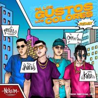 Artwork for Pa Los Gustos Los Colores (Remix) [feat. Omy de Oro & Nekxum] by Javiielo