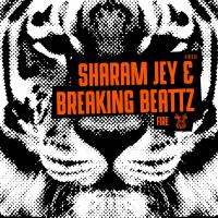 Artwork for Fire by Sharam Jey