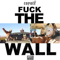 Artwork for Fuck The Wall by Coyote