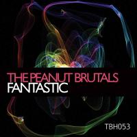 Artwork for Fantastic by The Peanut Brutals