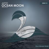 Artwork for Ocean Moon by Artifi