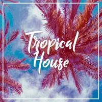 Artwork for Tropical House by Ibiza Deep House Lounge