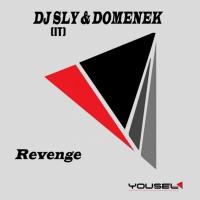 Artwork for Revenge by DJ Sly (IT)