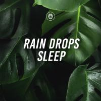 Artwork for Rain Drops Sleep by Sleep Music