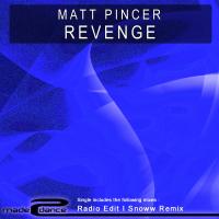 Artwork for Revenge by Matt Pincer