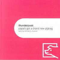 Artwork for Papa's Got a Brand New Pigbag by THUNDERPUSS