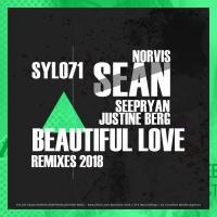 Artwork for Beautiful Love Remixes 2018 by Sean Norvis