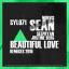 Artwork for Beautiful Love (VetLove & Mike Drozdov Remix)