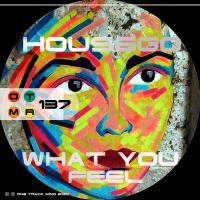 Artwork for What You Feel by Housego