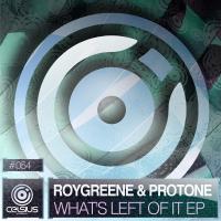 Artwork for What's Left Of It EP by RoyGreen & Protone