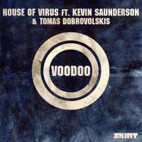 Artwork for Voodoo (feat. Kevin Saunderson & Tomas Dobrovolskis) by House Of Virus