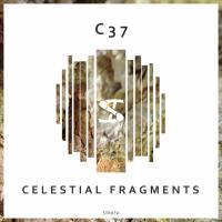Artwork for Celestial Fragments by C37