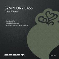 Artwork for Symphony Bass by Three Flames