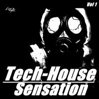 Artwork for Tech-House Sensation, Vol. 1 by Various Artists