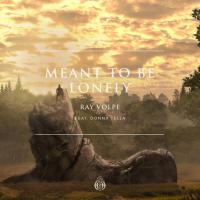 Artwork for Meant To Be Lonely by Ray Volpe