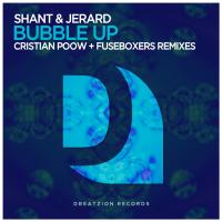 Artwork for Bubble Up (The Remixes) by SHANT