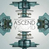 Artwork for Ascend by Silent Riot